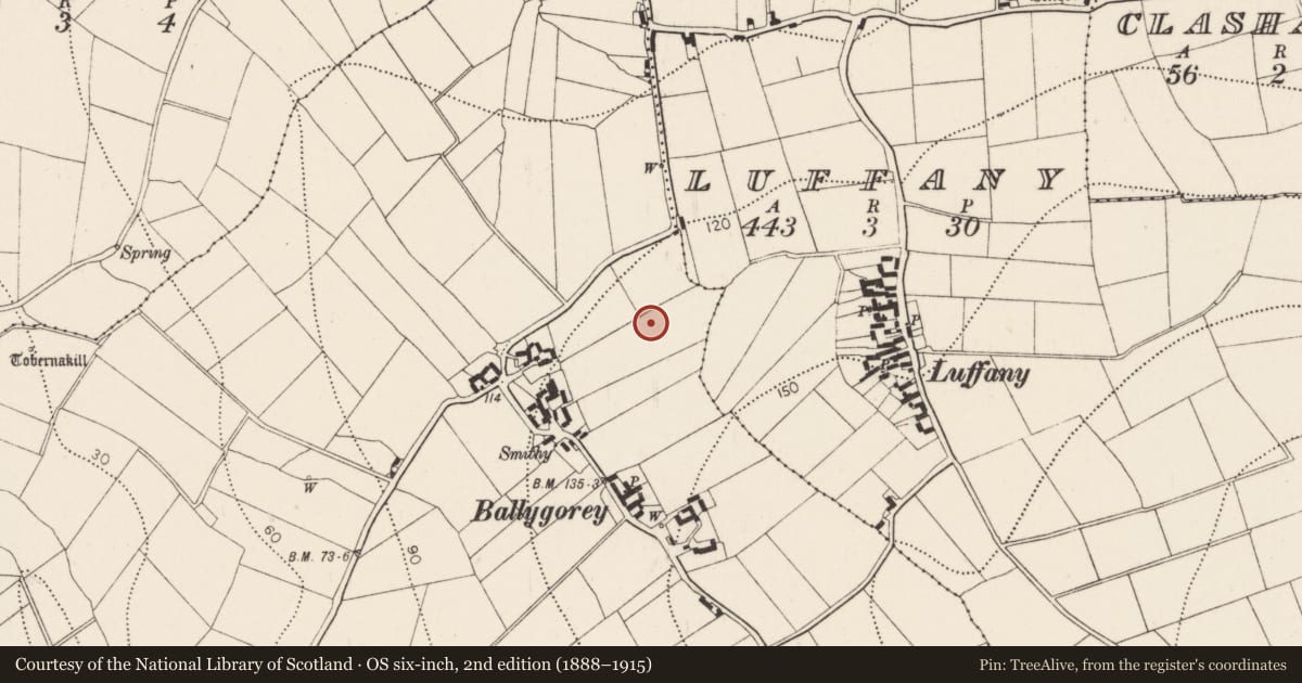 Ordnance Survey six-inch map, 2nd edition (1888–1915) covering the location of Fulacht fia, Ballygorey, County Kilkenny, with a pin at the register's coordinates
