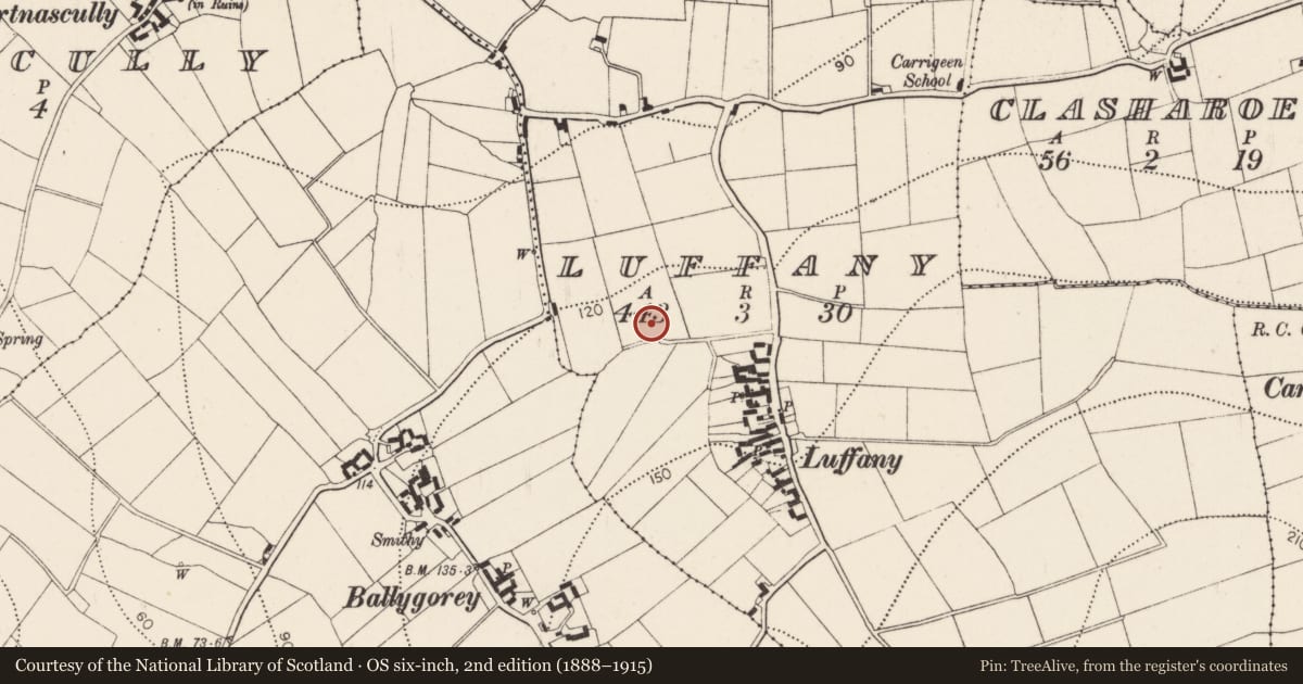 Ordnance Survey six-inch map, 2nd edition (1888–1915) covering the location of Fulacht fia, Luffany, County Kilkenny, with a pin at the register's coordinates