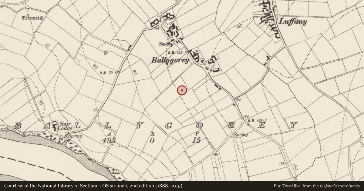 Ordnance Survey six-inch map, 2nd edition (1888–1915) covering the location of Fulacht fia, Ballygorey, County Kilkenny, with a pin at the register's coordinates