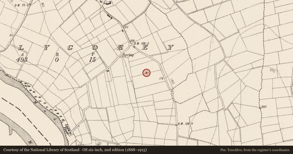 Ordnance Survey six-inch map, 2nd edition (1888–1915) covering the location of Fulacht fia, Ballygorey, County Kilkenny, with a pin at the register's coordinates