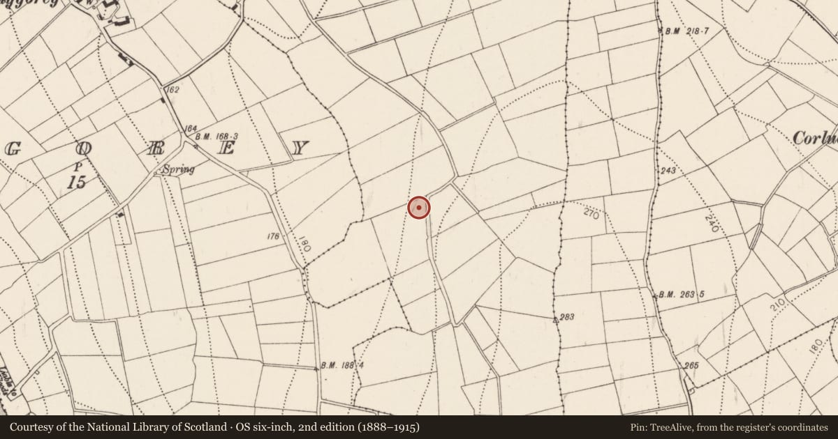 Ordnance Survey six-inch map, 2nd edition (1888–1915) covering the location of Fulacht fia, Luffany, County Kilkenny, with a pin at the register's coordinates