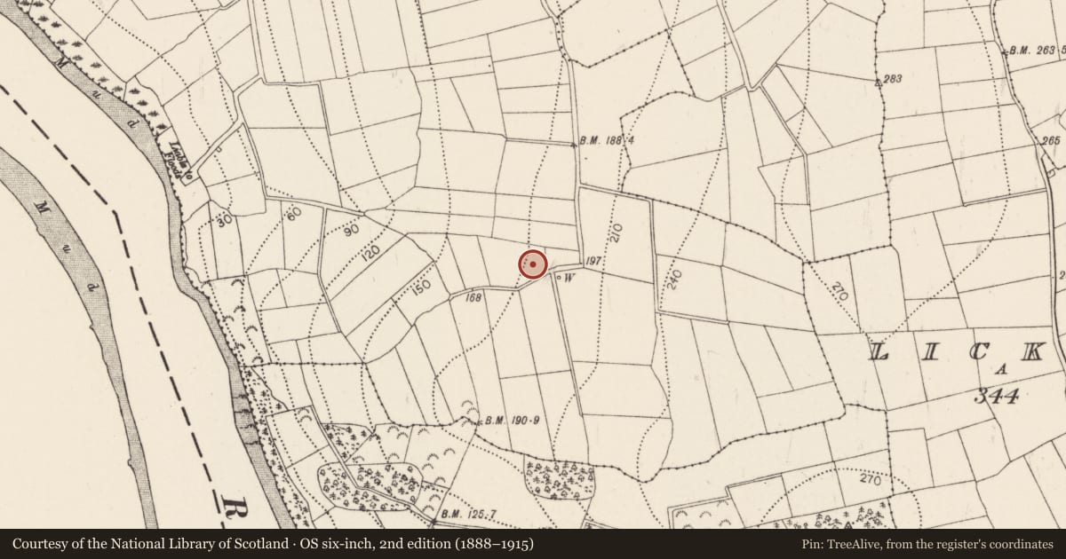 Ordnance Survey six-inch map, 2nd edition (1888–1915) covering the location of Fulacht fia, Ballygorey, County Kilkenny, with a pin at the register's coordinates