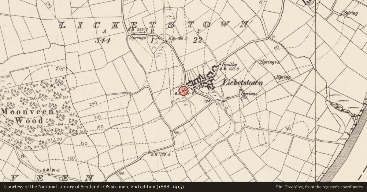 Ordnance Survey six-inch map, 2nd edition (1888–1915) covering the location of Megalithic tomb - unclassified, Licketstown, County Kilkenny, with a pin at the register's coordinates