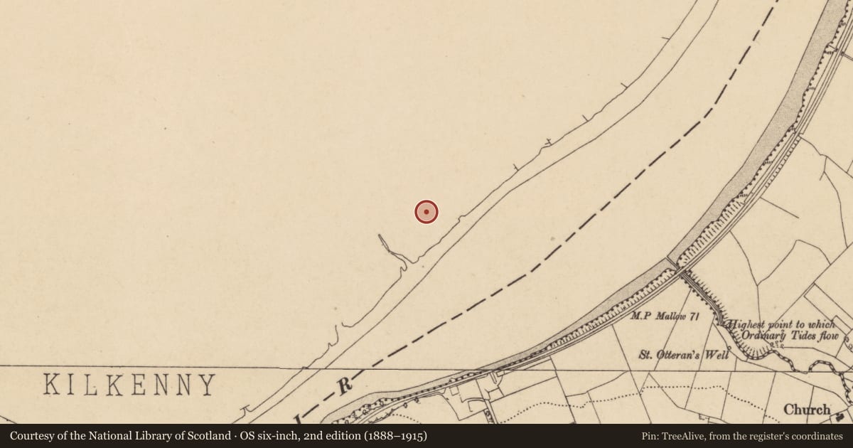 Ordnance Survey six-inch map, 2nd edition (1888–1915) covering the location of Fulacht fia, Licketstown, County Kilkenny, with a pin at the register's coordinates