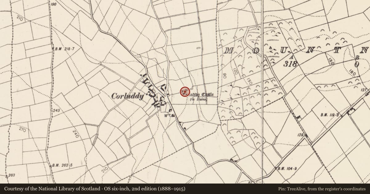 Ordnance Survey six-inch map, 2nd edition (1888–1915) covering the location of Megalithic tomb - unclassified, Corluddy, County Kilkenny, with a pin at the register's coordinates