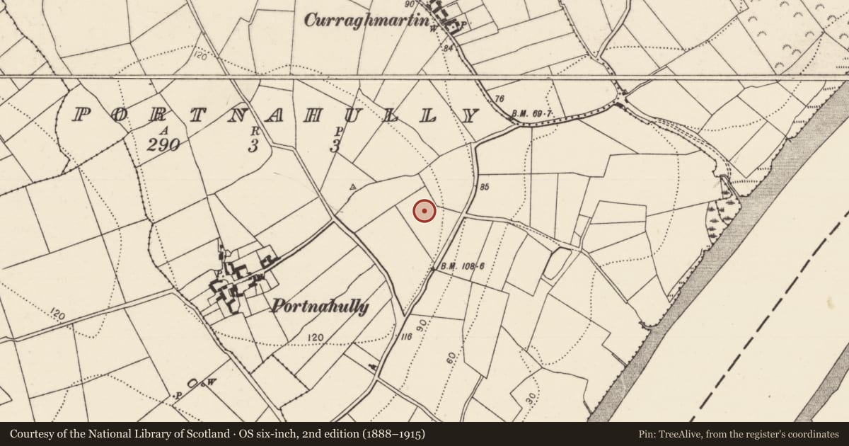 Ordnance Survey six-inch map, 2nd edition (1888–1915) covering the location of Fulacht fia, Portnahully, County Kilkenny, with a pin at the register's coordinates