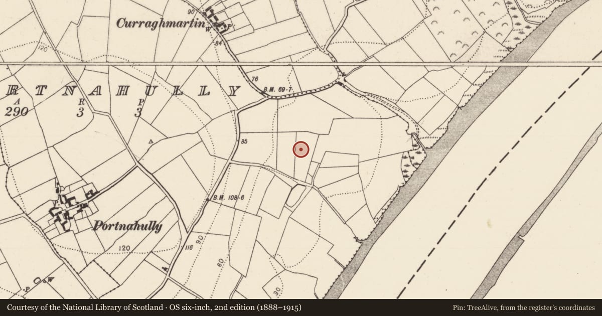 Ordnance Survey six-inch map, 2nd edition (1888–1915) covering the location of Fulacht fia, Portnahully, County Kilkenny, with a pin at the register's coordinates