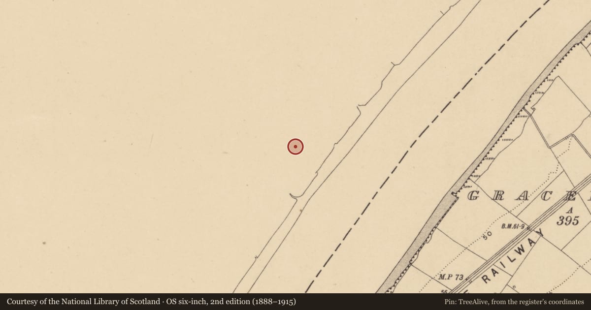 Ordnance Survey six-inch map, 2nd edition (1888–1915) covering the location of Fulacht fia, Portnahully, County Kilkenny, with a pin at the register's coordinates