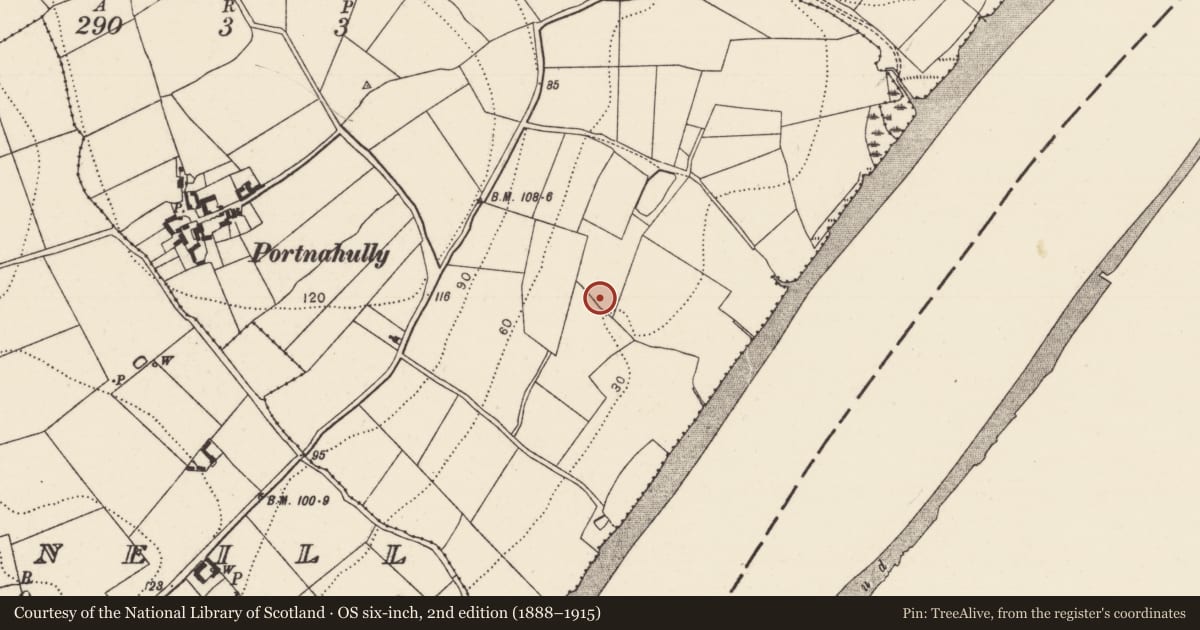 Ordnance Survey six-inch map, 2nd edition (1888–1915) covering the location of Fulacht fia, Portnahully, County Kilkenny, with a pin at the register's coordinates
