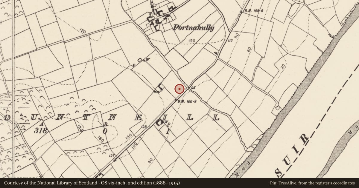 Ordnance Survey six-inch map, 2nd edition (1888–1915) covering the location of Fulacht fia, Mountneill, County Kilkenny, with a pin at the register's coordinates