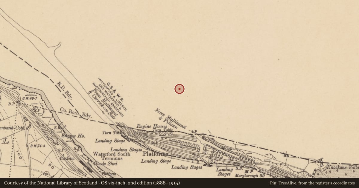 Ordnance Survey six-inch map, 2nd edition (1888–1915) covering the location of Fulacht fia, Newrath, County Kilkenny, with a pin at the register's coordinates