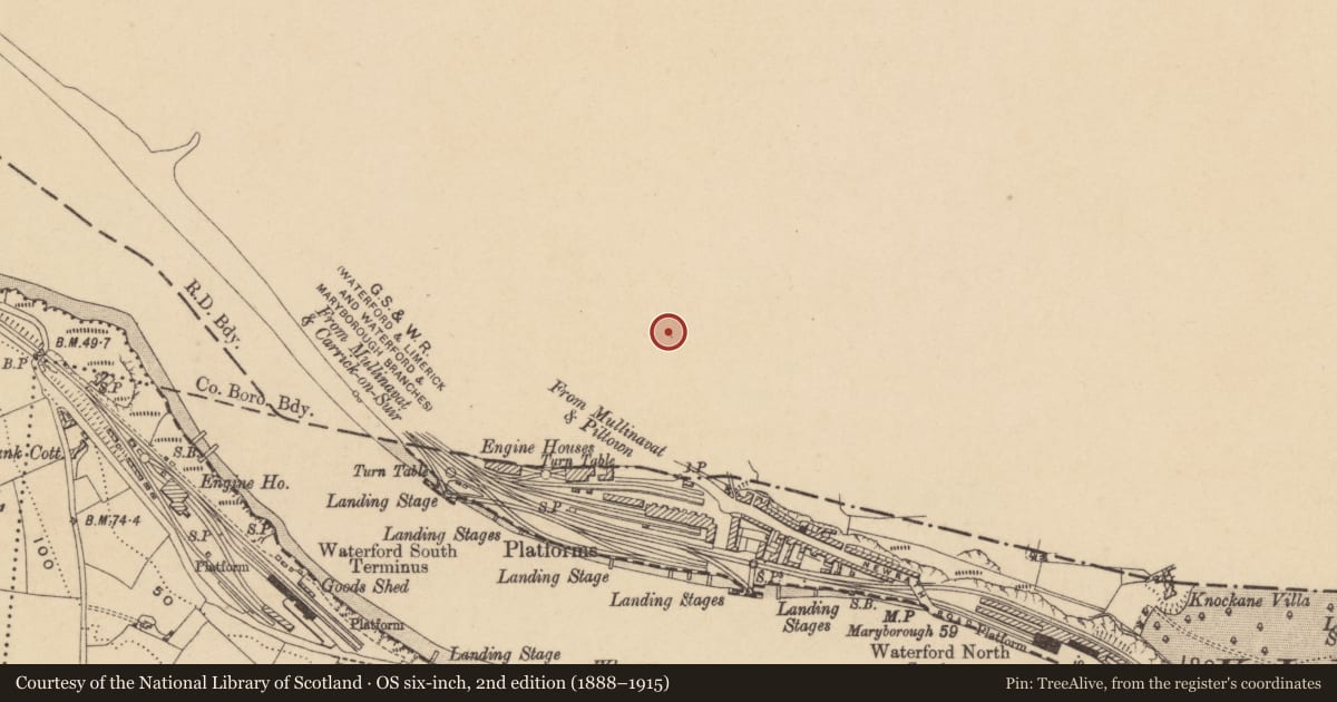 Ordnance Survey six-inch map, 2nd edition (1888–1915) covering the location of Fulacht fia, Newrath, County Kilkenny, with a pin at the register's coordinates