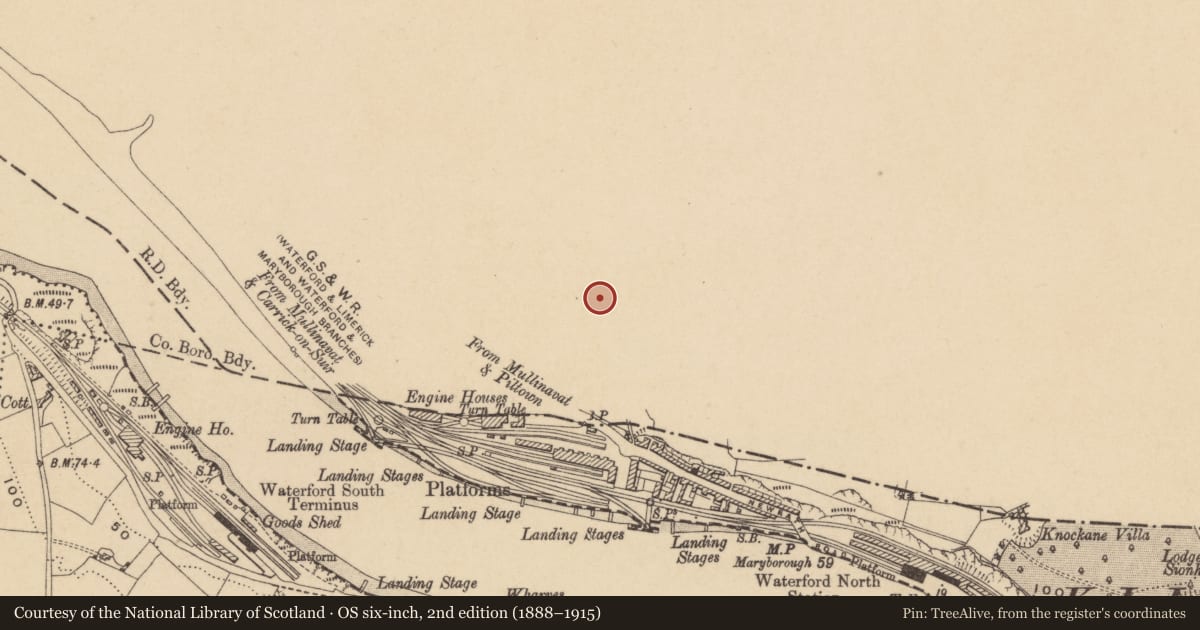 Ordnance Survey six-inch map, 2nd edition (1888–1915) covering the location of Fulacht fia, Newrath, County Kilkenny, with a pin at the register's coordinates