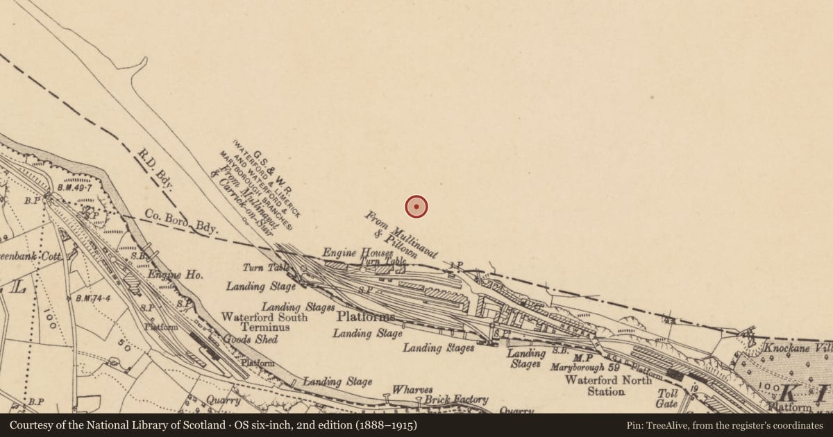 Ordnance Survey six-inch map, 2nd edition (1888–1915) covering the location of Fulacht fia, Newrath, County Kilkenny, with a pin at the register's coordinates