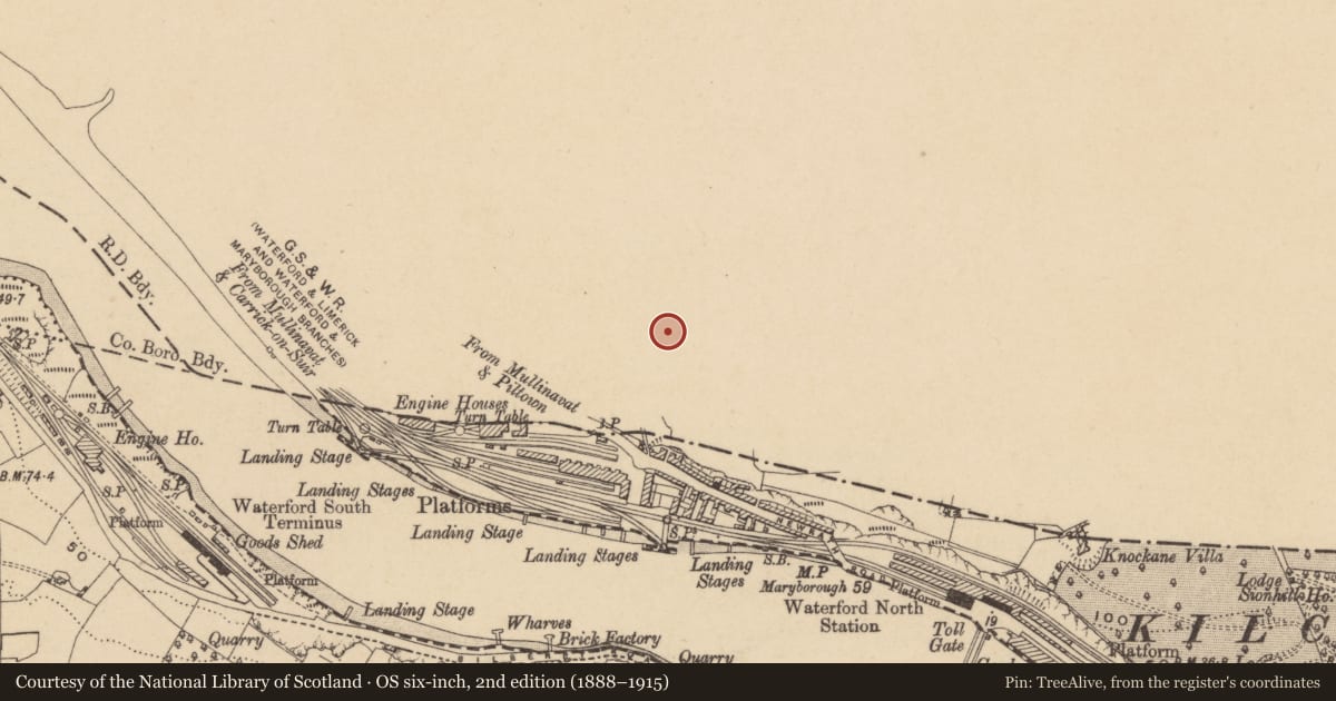 Ordnance Survey six-inch map, 2nd edition (1888–1915) covering the location of Fulacht fia, Newrath, County Kilkenny, with a pin at the register's coordinates