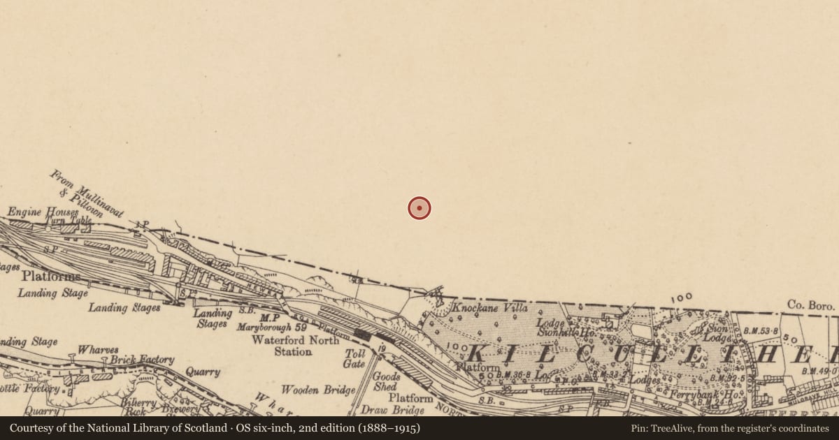 Ordnance Survey six-inch map, 2nd edition (1888–1915) covering the location of Gibbet, Newrath, County Kilkenny, with a pin at the register's coordinates