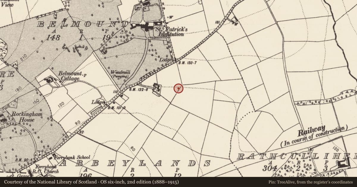 Ordnance Survey six-inch map, 2nd edition (1888–1915) covering the location of Fulacht fia, Abbeylands, County Kilkenny, with a pin at the register's coordinates