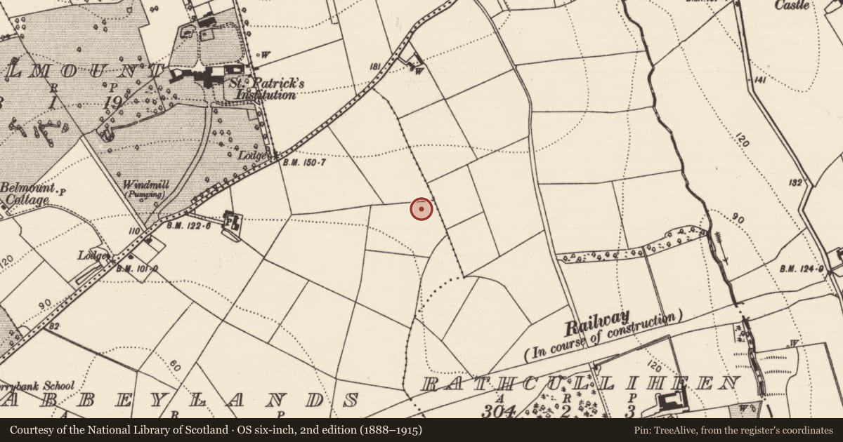 Ordnance Survey six-inch map, 2nd edition (1888–1915) covering the location of Fulacht fia, Abbeylands, County Kilkenny, with a pin at the register's coordinates