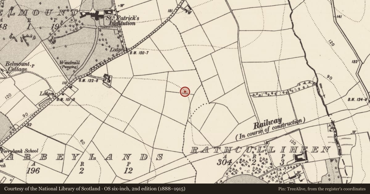 Ordnance Survey six-inch map, 2nd edition (1888–1915) covering the location of Fulacht fia, Abbeylands, County Kilkenny, with a pin at the register's coordinates