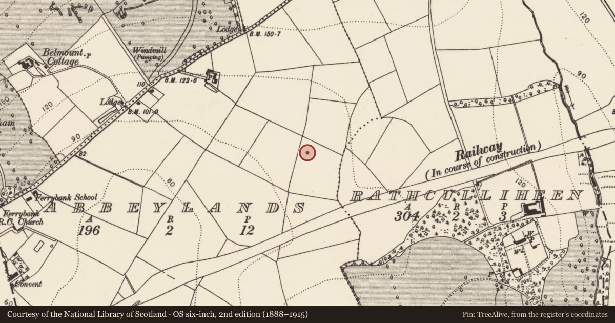 Ordnance Survey six-inch map, 2nd edition (1888–1915) covering the location of Fulacht fia, Abbeylands, County Kilkenny, with a pin at the register's coordinates