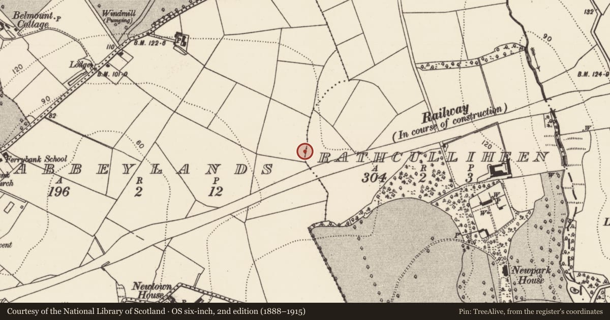 Ordnance Survey six-inch map, 2nd edition (1888–1915) covering the location of Fulacht fia, Abbeylands, County Kilkenny, with a pin at the register's coordinates