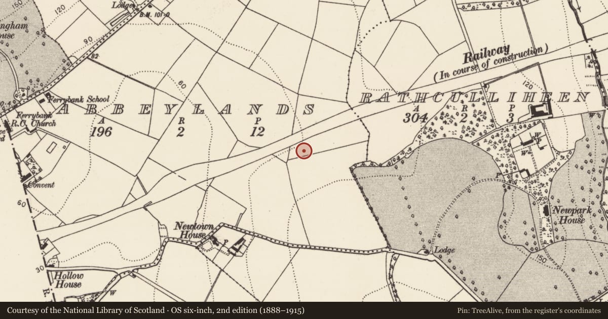 Ordnance Survey six-inch map, 2nd edition (1888–1915) covering the location of Fulacht fia, Abbeylands, County Kilkenny, with a pin at the register's coordinates