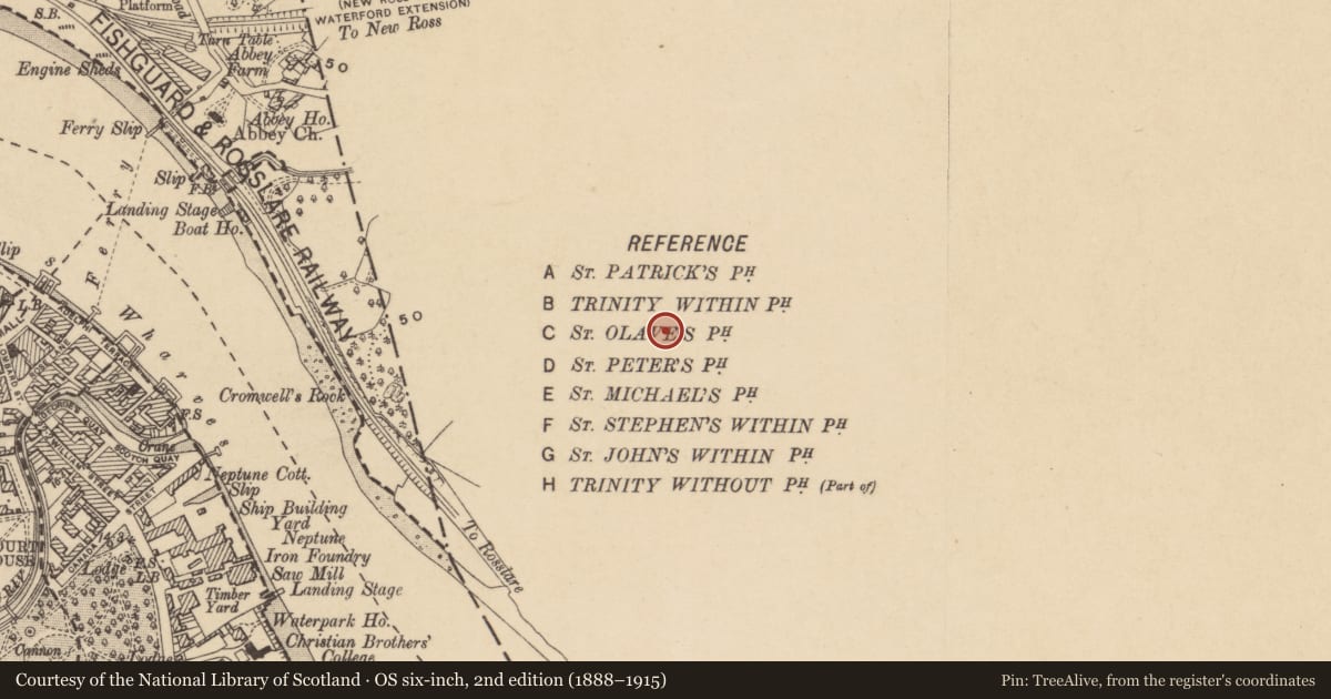Ordnance Survey six-inch map, 2nd edition (1888–1915) covering the location of Fulacht fia, Christendom, County Kilkenny, with a pin at the register's coordinates