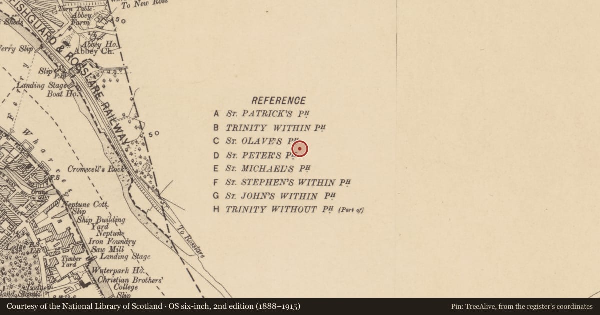 Ordnance Survey six-inch map, 2nd edition (1888–1915) covering the location of Fulacht fia, Christendom, County Kilkenny, with a pin at the register's coordinates