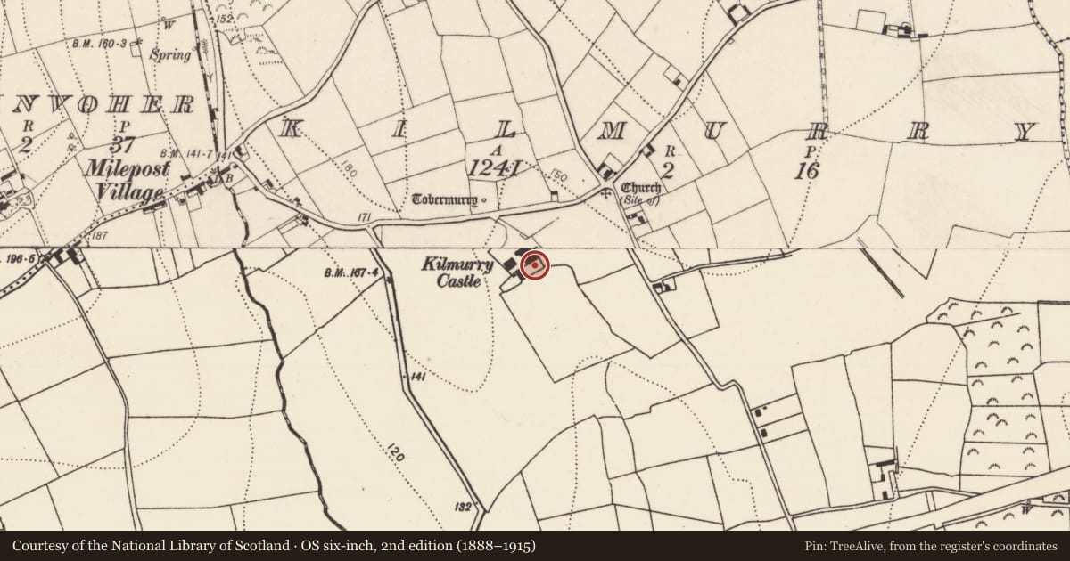 Ordnance Survey six-inch map, 2nd edition (1888–1915) covering the location of Castle - tower house, Kilmurry, County Kilkenny, with a pin at the register's coordinates