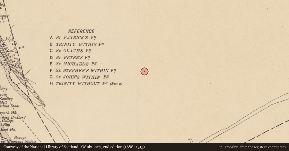 Ordnance Survey six-inch map, 2nd edition (1888–1915) covering the location of Excavation - miscellaneous, Newtown, County Kilkenny, with a pin at the register's coordinates