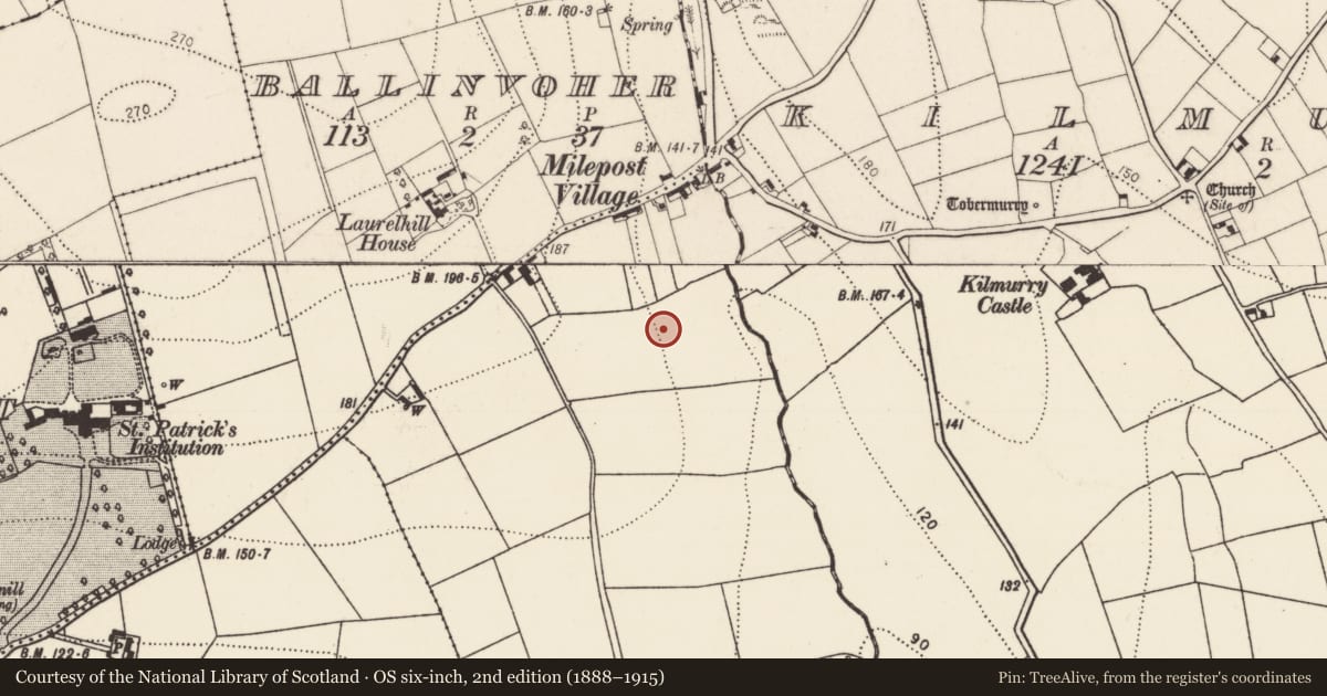 Ordnance Survey six-inch map, 2nd edition (1888–1915) covering the location of Standing stone, Rathculliheen, County Kilkenny, with a pin at the register's coordinates