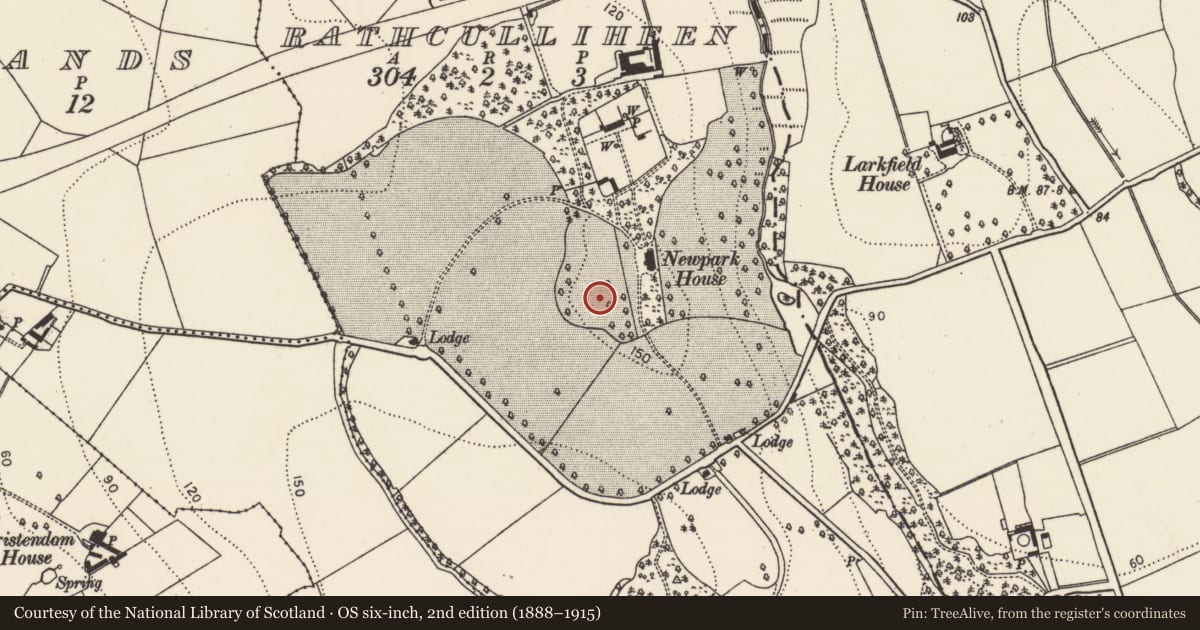 Ordnance Survey six-inch map, 2nd edition (1888–1915) covering the location of Concentric enclosure, Rathculliheen, County Kilkenny, with a pin at the register's coordinates