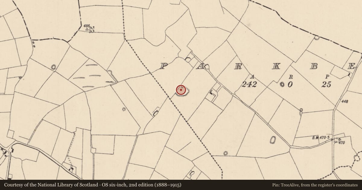 Ordnance Survey six-inch map, 2nd edition (1888–1915) covering the location of Moated site, Parkbeg, County Laois, with a pin at the register's coordinates