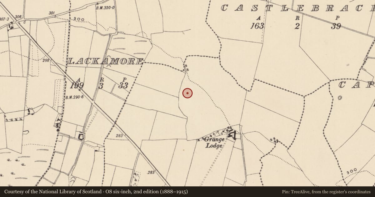 Ordnance Survey six-inch map, 2nd edition (1888–1915) covering the location of Enclosure, Grange, County Laois, with a pin at the register's coordinates