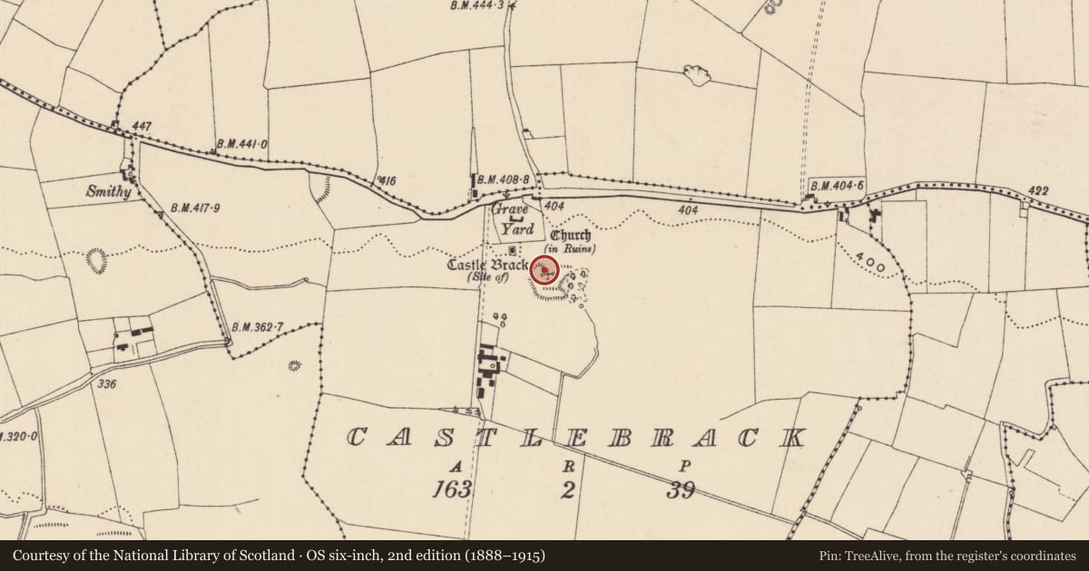 Ordnance Survey six-inch map, 2nd edition (1888–1915) covering the location of Castle - tower house, Castlebrack, County Laois, with a pin at the register's coordinates