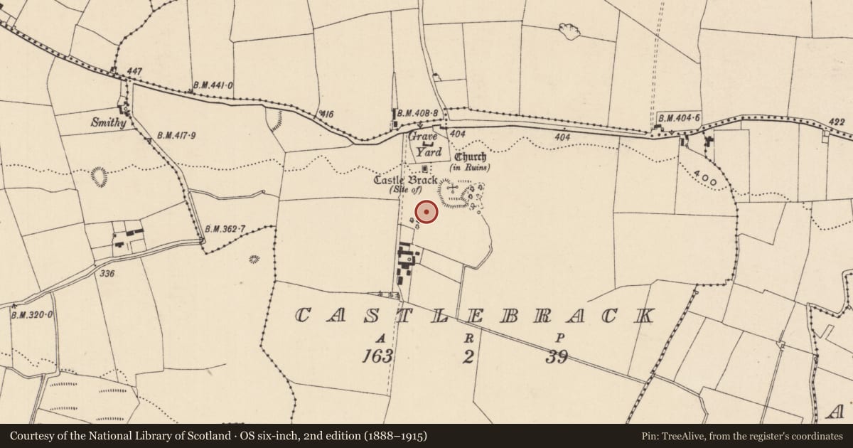 Ordnance Survey six-inch map, 2nd edition (1888–1915) covering the location of Settlement deserted - medieval, Castlebrack, County Laois, with a pin at the register's coordinates