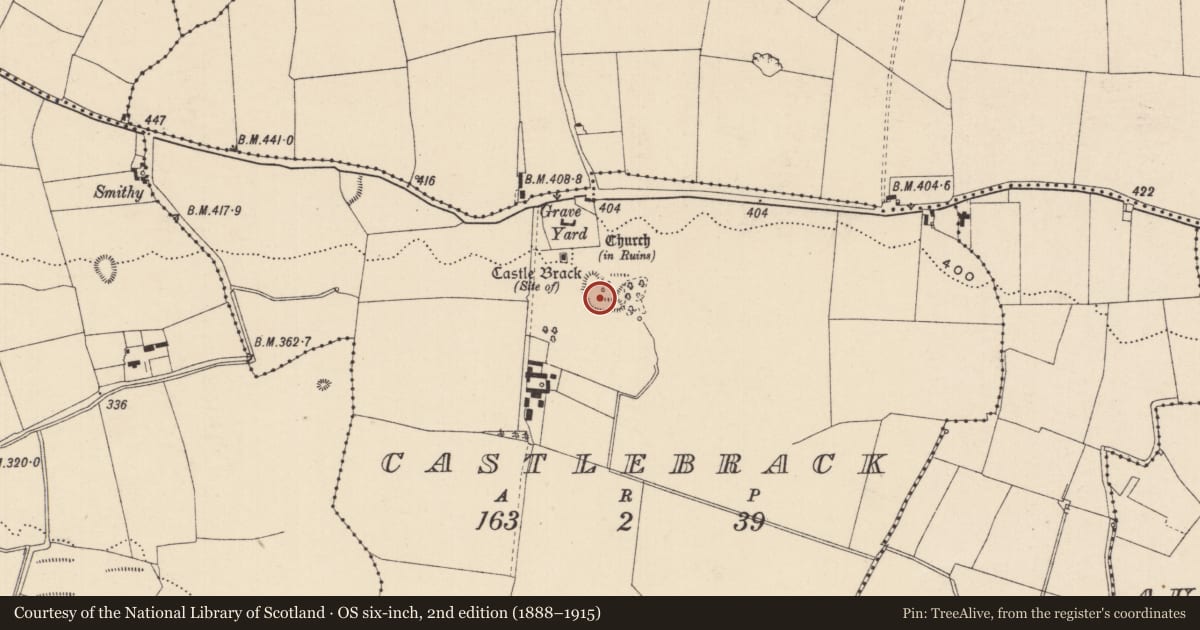 Ordnance Survey six-inch map, 2nd edition (1888–1915) covering the location of Bawn, Castlebrack, County Laois, with a pin at the register's coordinates
