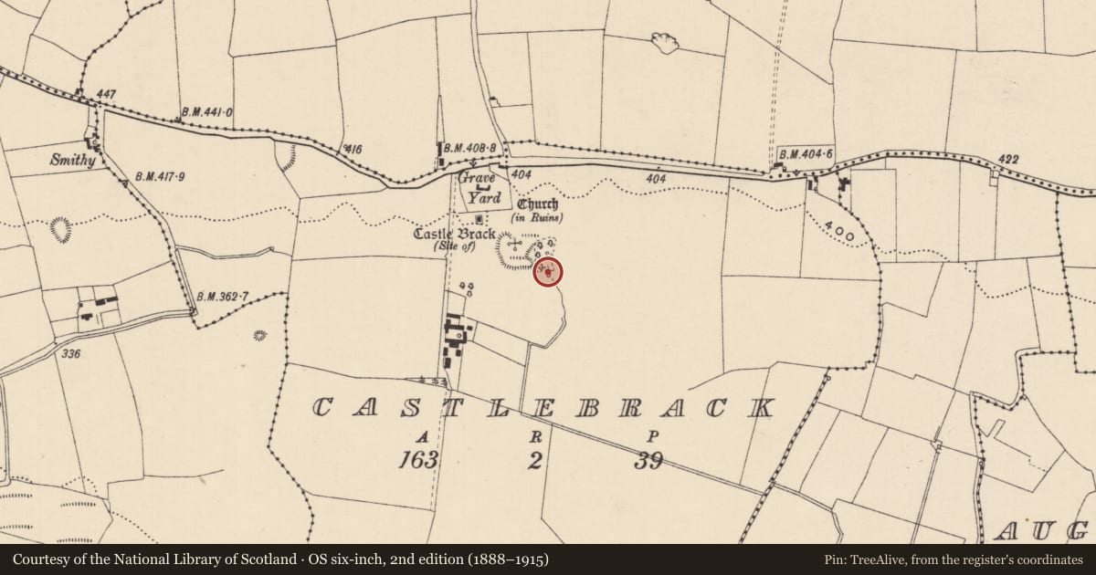 Ordnance Survey six-inch map, 2nd edition (1888–1915) covering the location of Well, Castlebrack, County Laois, with a pin at the register's coordinates