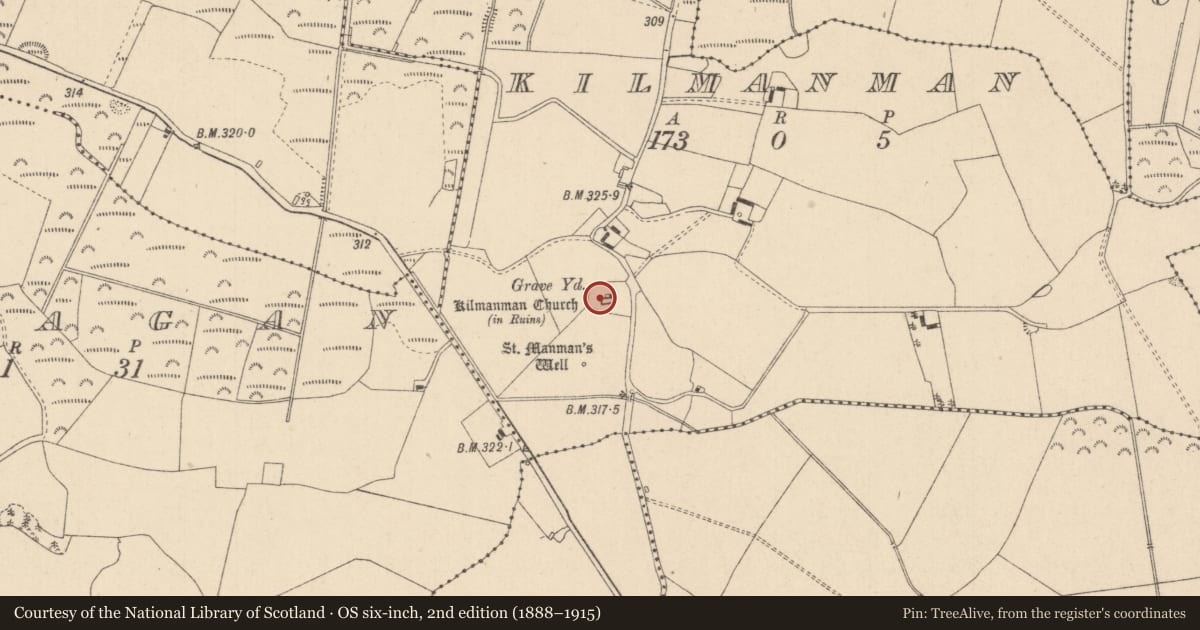 Ordnance Survey six-inch map, 2nd edition (1888–1915) covering the location of Graveyard, Kilmanman, County Laois, with a pin at the register's coordinates