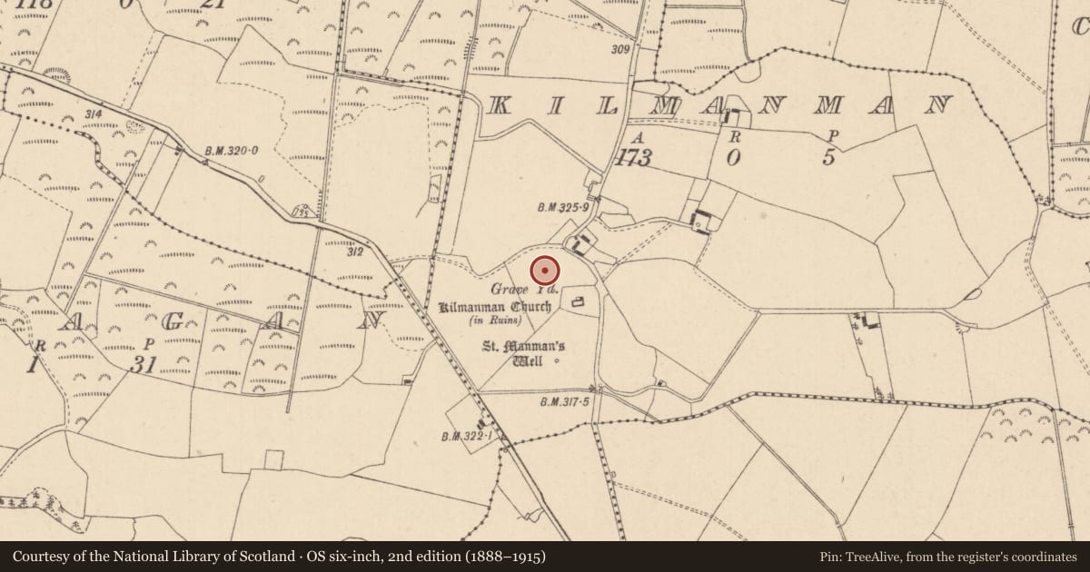 Ordnance Survey six-inch map, 2nd edition (1888–1915) covering the location of Enclosure, Kilmanman, County Laois, with a pin at the register's coordinates