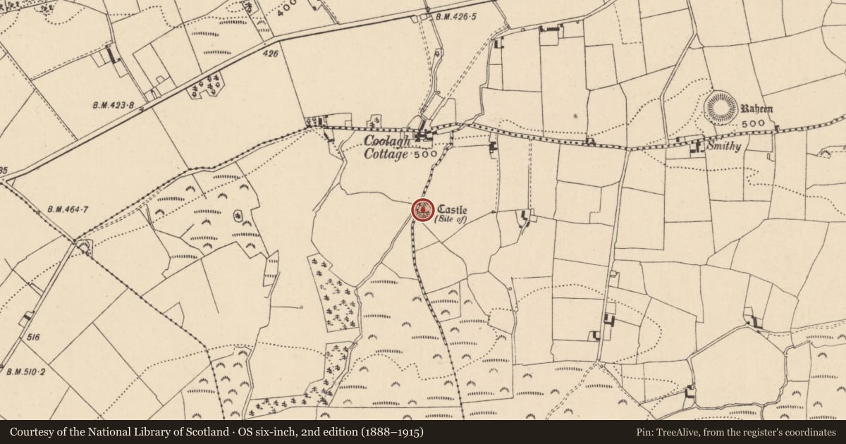 Ordnance Survey six-inch map, 2nd edition (1888–1915) covering the location of Castle - unclassified, Ballynahimmy, County Laois, with a pin at the register's coordinates
