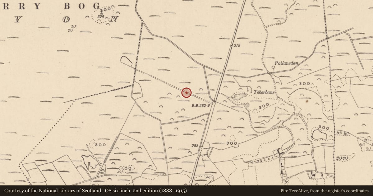 Ordnance Survey six-inch map, 2nd edition (1888–1915) covering the location of Standing stone, Coolagh, County Laois, with a pin at the register's coordinates