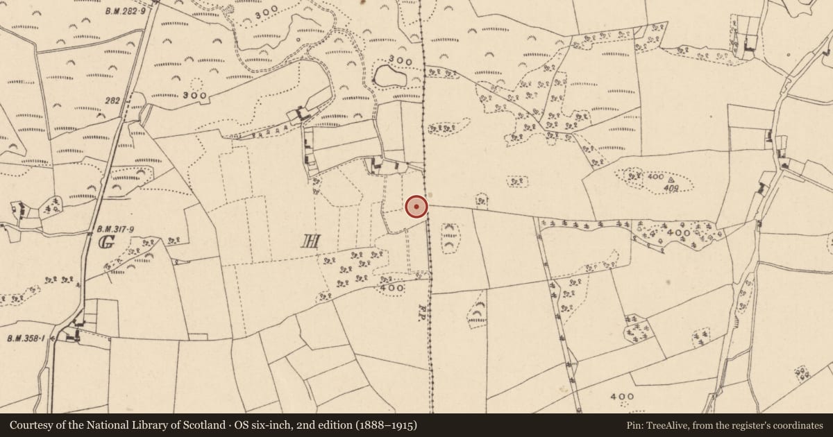 Ordnance Survey six-inch map, 2nd edition (1888–1915) covering the location of Enclosure, Coolagh, County Laois, with a pin at the register's coordinates