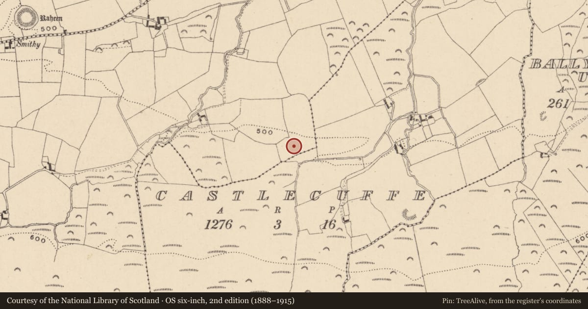 Ordnance Survey six-inch map, 2nd edition (1888–1915) covering the location of Bawn, Ballynahimmy, County Laois, with a pin at the register's coordinates