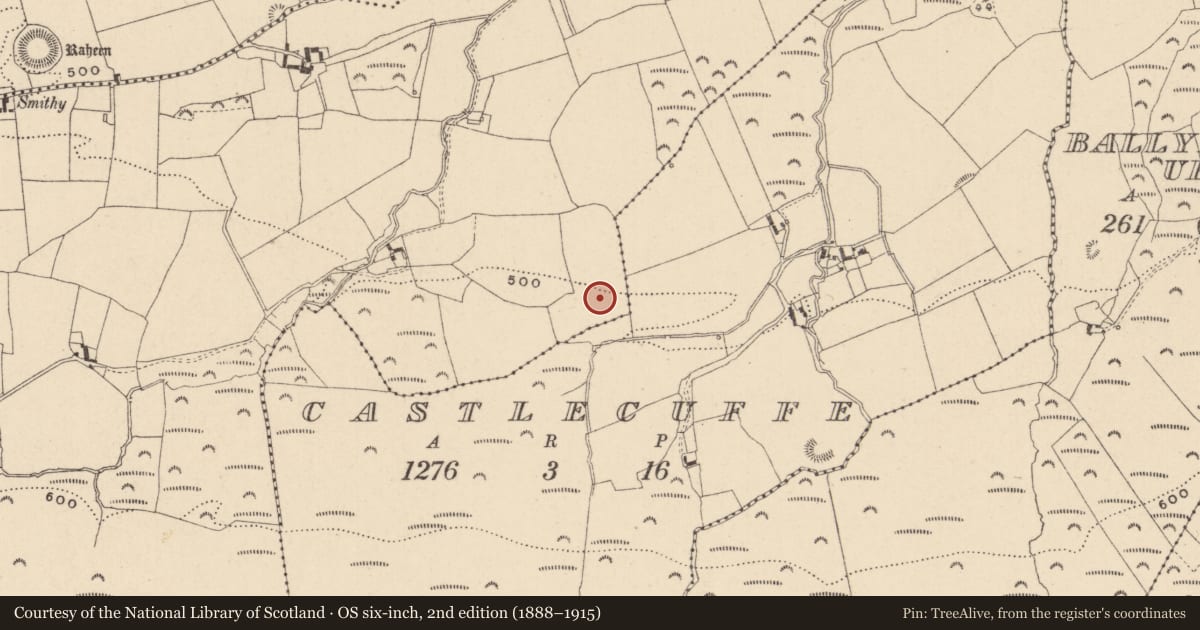 Ordnance Survey six-inch map, 2nd edition (1888–1915) covering the location of Castle - unclassified, Ballynahimmy, County Laois, with a pin at the register's coordinates