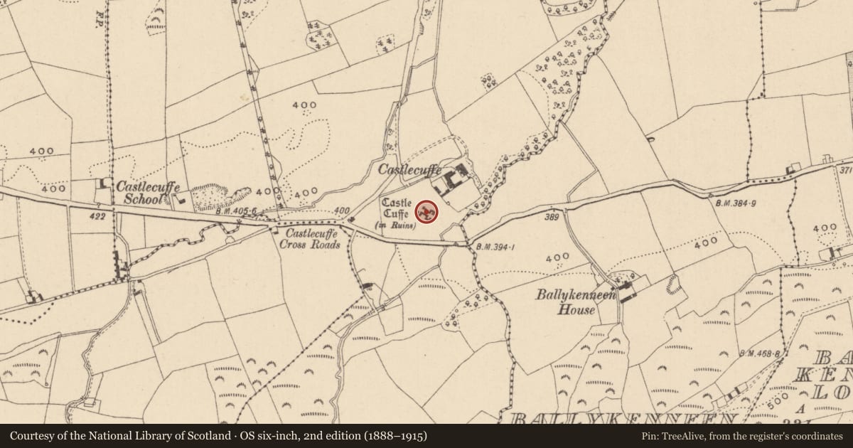 Ordnance Survey six-inch map, 2nd edition (1888–1915) covering the location of House - fortified house, Castlecuffe, County Laois, with a pin at the register's coordinates