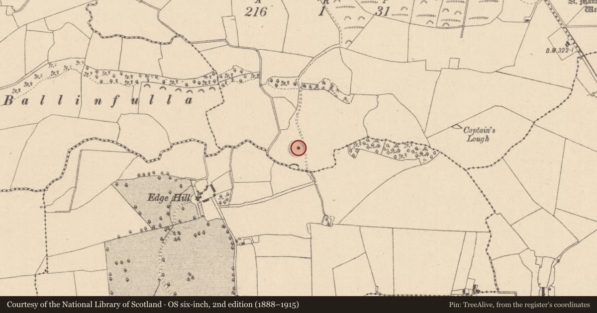Ordnance Survey six-inch map, 2nd edition (1888–1915) covering the location of Ringfort - rath, Larragan, County Laois, with a pin at the register's coordinates
