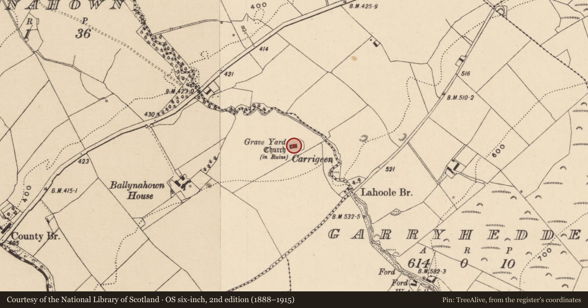 Ordnance Survey six-inch map, 2nd edition (1888–1915) covering the location of Church, Ballynahown, County Laois, with a pin at the register's coordinates