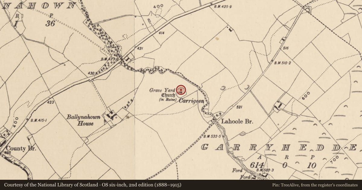 Ordnance Survey six-inch map, 2nd edition (1888–1915) covering the location of Graveyard, Ballynahown, County Laois, with a pin at the register's coordinates