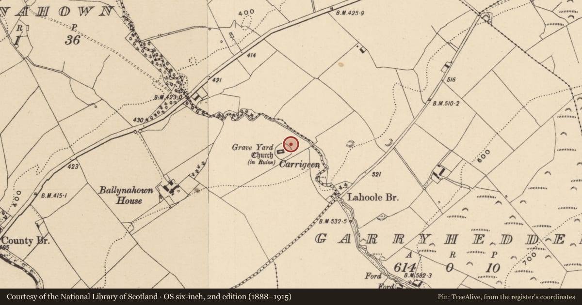 Ordnance Survey six-inch map, 2nd edition (1888–1915) covering the location of Ecclesiastical enclosure, Ballynahown, County Laois, with a pin at the register's coordinates